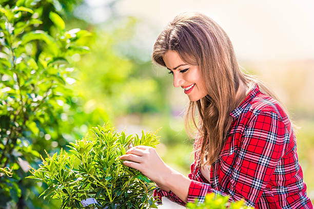 istock Beautiful gardener with little tree, green sunny nature 514554794