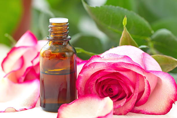 istock Rose essential aroma oil 514555272