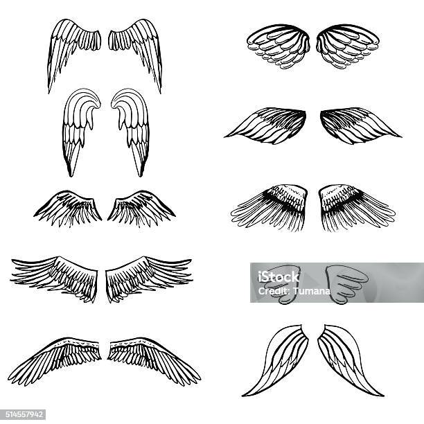 Wings Illustration Silhouettes Set For Making Your Own Badge Label Stock Illustration - Download Image Now