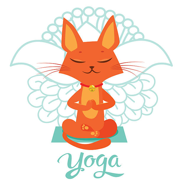 illustrations, cliparts, dessins animés et icônes de chat pose de yoga. chat vecteur de yoga. yoga chat même. - zen like single flower lotus water lily