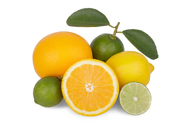 istock Mix of fresh citrus fruits 514559109