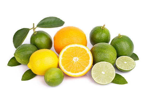 istock Mix of fresh citrus fruits 514559967