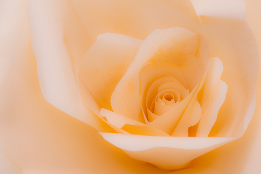 Close up Photo of artificial paper rose in soft focus