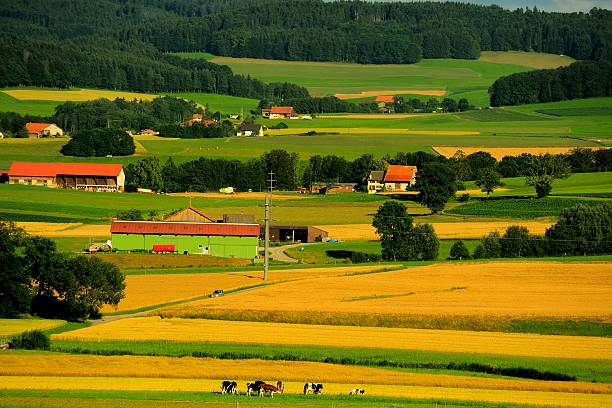 istock Swiss countryside in the sunset 011 514561793
