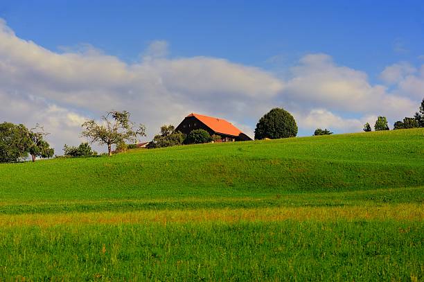 istock Swiss countryside in the sunset 514561985