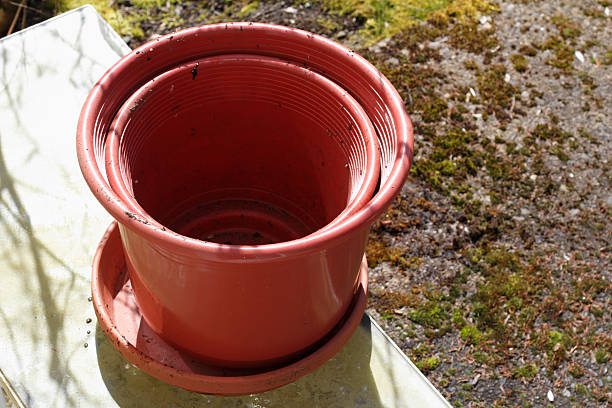 istock Two Empty Flowerpots and a Saucer 514563593