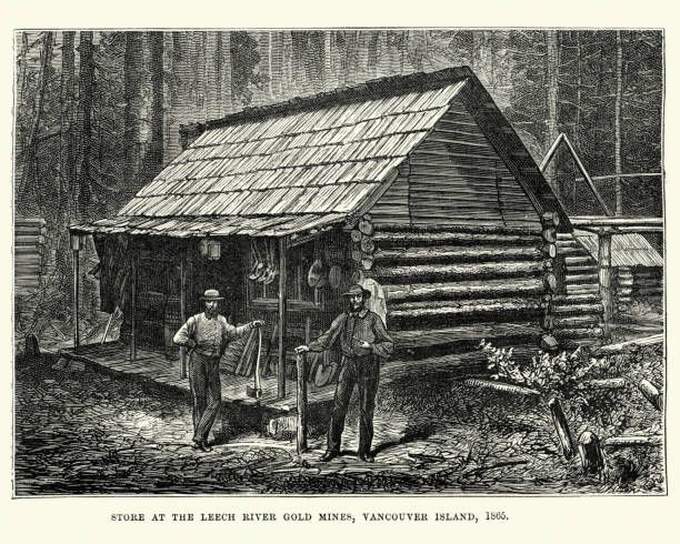 Store at the Leech River Gold Mines, Vancouver Island Vintage engraving showing the store at the Leech River Gold Mines, Vancouver Island in 1865 miners cabin stock illustrations