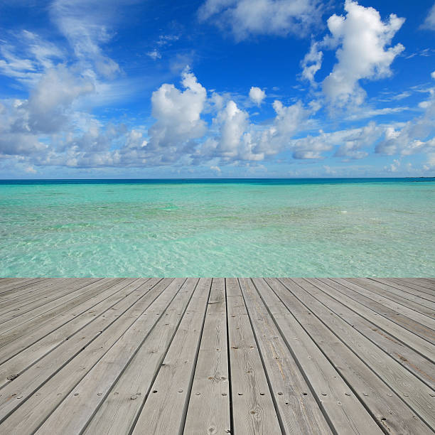 istock Wooden platform beside tropical green lagoon 514563935