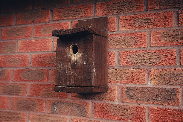 istock Wooden bird house 514564555