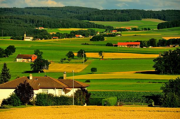 istock Swiss countryside in the sunset 009 514564565