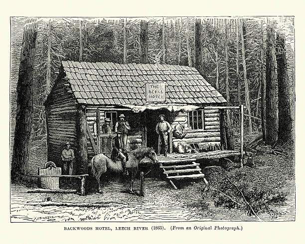 Backwoods Hotel, Leechtown, British Columbia, 1865 Vintage engraving showing a Backwoods Hotel, Leechtown, Vancouver Island, British Columbia, 1865. Gold was discovered on the Leech River in July 1864. Within weeks, thousands of miners, had travelled from Victoria overland by trail or by steamer to Sooke. By August 14 of that same year, 227 mining licences had been issued and by the end of the year there were 6 general stores and 3 hotels in business along with 30 saloons. miners cabin stock illustrations