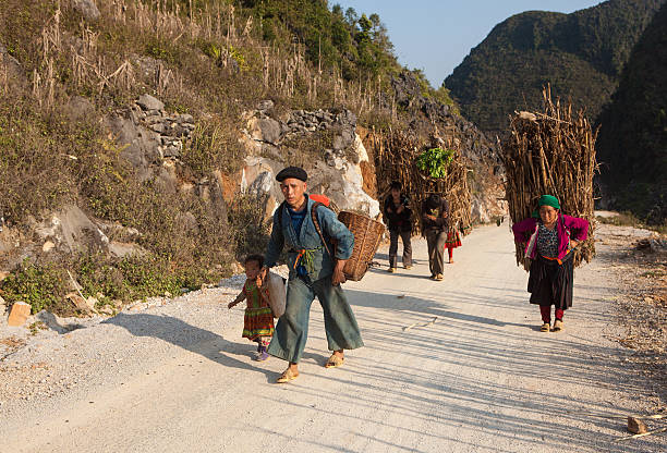 hmong porta legna da ardere e l'agricoltura prodotti per la casa - vietnam vietnamese culture vietnamese ethnicity north vietnam foto e immagini stock