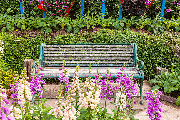 istock green chairs in the garden. 514568190
