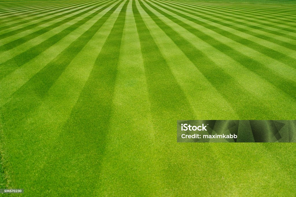 Perfectly striped freshly mowed garden lawn Perfectly striped freshly mowed garden lawn in summer Lawn Stock Photo