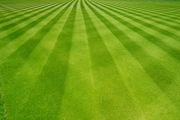 Perfectly striped freshly mowed garden lawn in summer