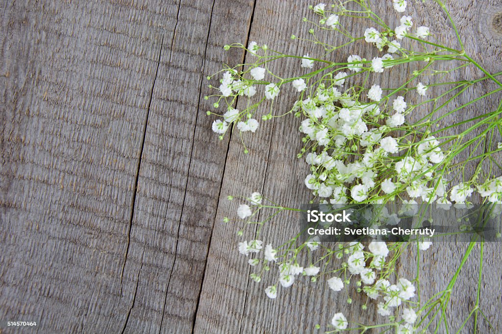 Blanco flores. Ramo de la de Gypsofila sobre un fondo de madera. - Foto de stock de Amor - Sentimiento libre de derechos