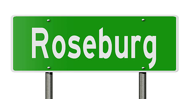 istock Highway sign for Roseburg 514572292