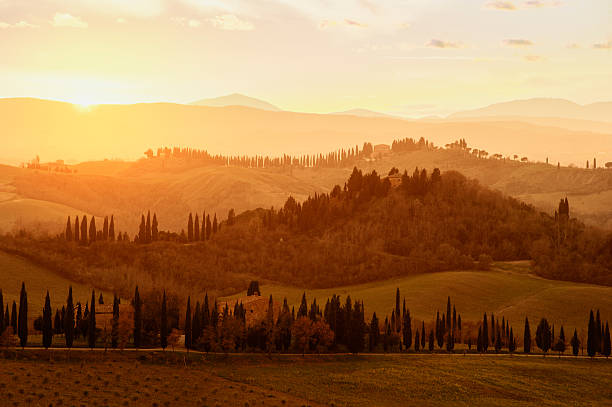 istock The landscape of Tuscany 514575054