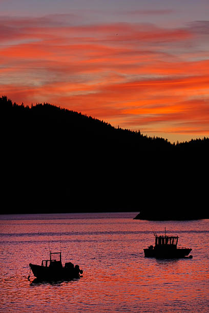 fishing boat in Alaska bay stock photo