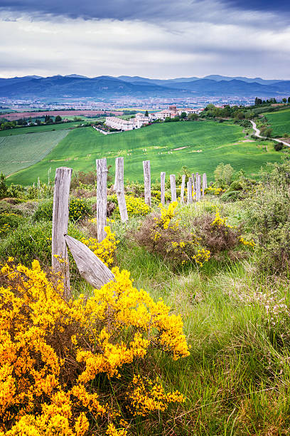 Alto del Perdon, Spain