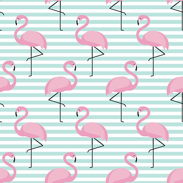 ilustrações, clipart, desenhos animados e ícones de flamingo padr�ão perfeito em fundo de ganso. - beauty in nature birds nature backgrounds wild animals