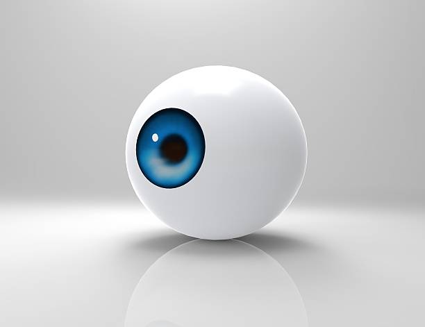 big brother - eyeball human eye magnifying glass three dimensional shape imagens e fotografias de stock