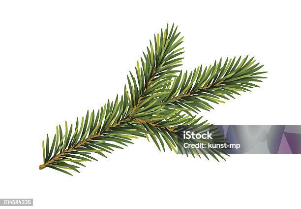 Fir Tree Branch Stock Illustration - Download Image Now - Advent, Blank, Branch - Plant Part