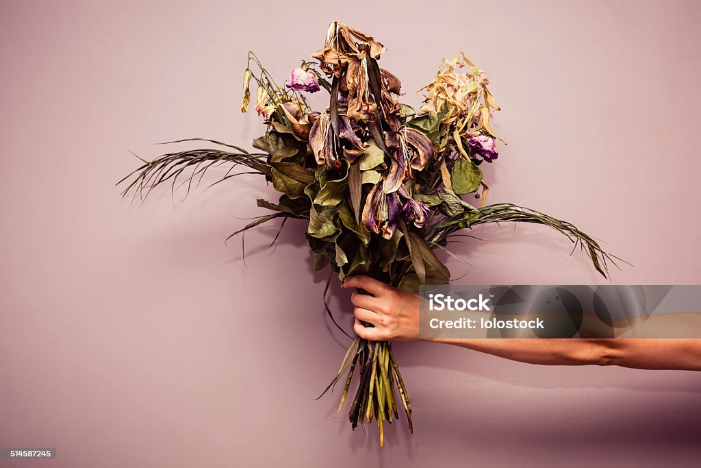 Hand with dead flowers A woman's hand is holding a bouquet of dead flowers Flower Stock Photo