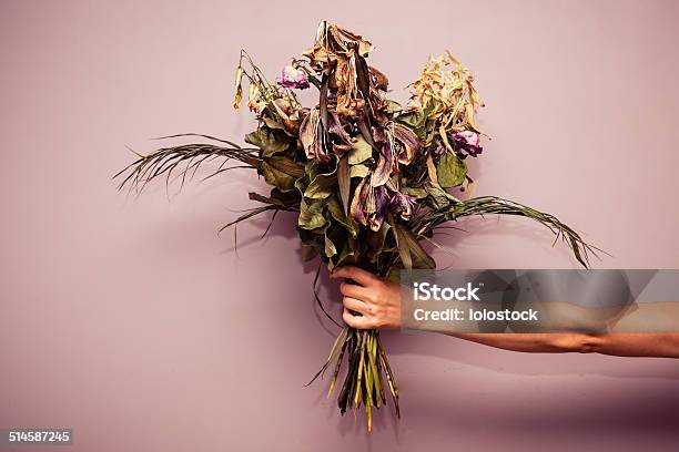 Hand With Dead Flowers Stock Photo - Download Image Now - Flower, Dead Plant, Bouquet