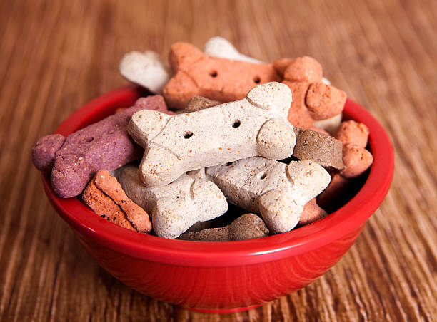 istock dog treats 514587783