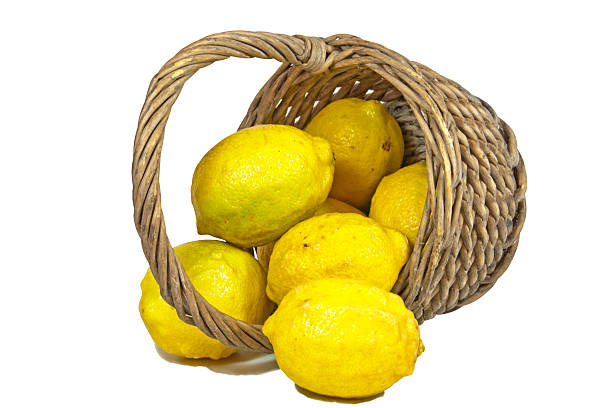 istock Overturned Wicker Basket Spilling Fresh Bright Yellow Lemons 514588231