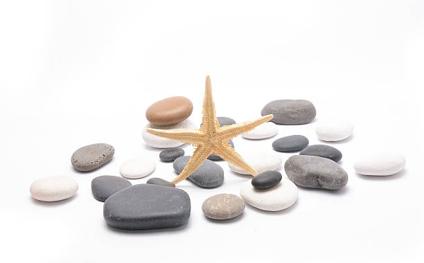 istock Starfish, pebbles and seashells isolated on white background 514589075