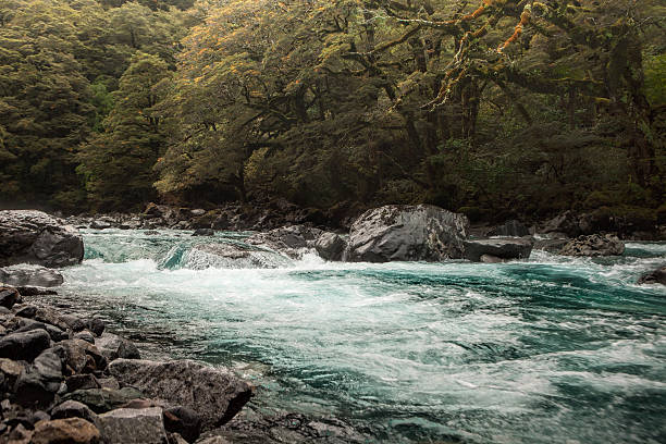 istock Stream along side of Milford road 514589765