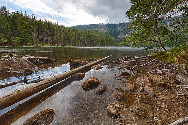 istock Glacial Black Lake surrounded by the forest 514589841