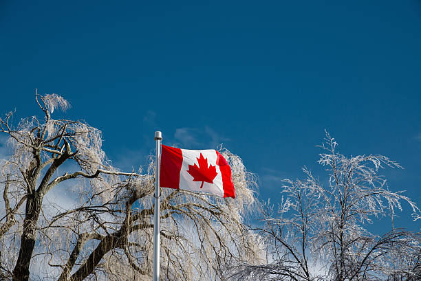 istock Ice Covered Trees Behind a Canadian Flag 514610619