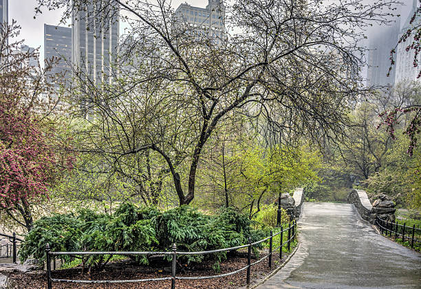 istock Gapstow bridge Central Park, New York City 514612409