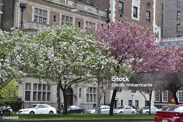 Blooming Trees In Park Avenue Stock Photo - Download Image Now - Park Avenue, New York City, Springtime