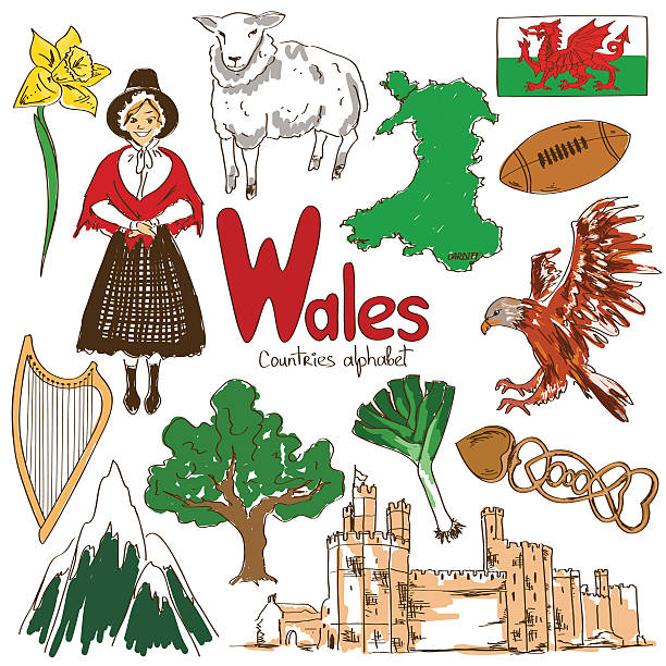 kolekcja ikony walii - leek welsh flag flag welsh culture stock illustrations