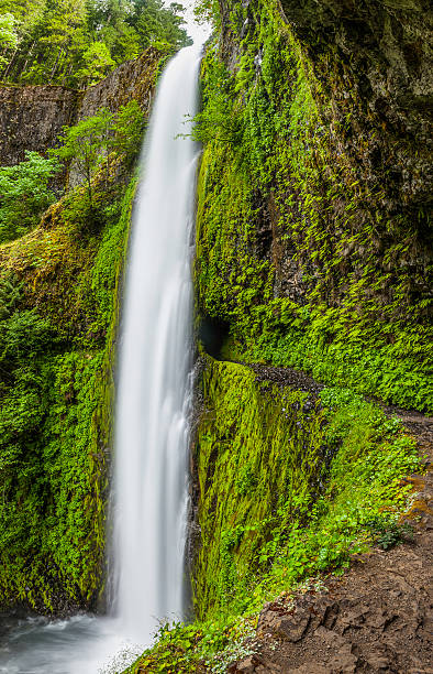 istock Cascading waterfall and trail Tunnel Falls PCT Oregon 514616217