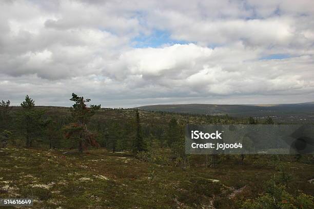 View From Stornaerfjaellet Stock Photo - Download Image Now - Cloud - Sky, Cloudscape, Coniferous Tree