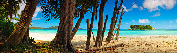 istock Panoramic view tropical beach dawn Praslin island Seychelles Indian Ocean 514619554