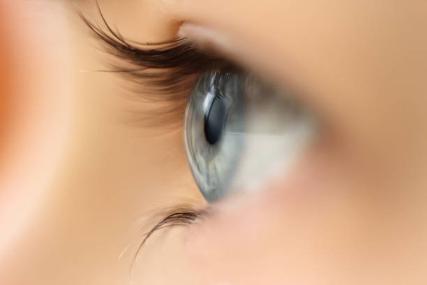 istock Female eye with long eyelashes close up 514622984