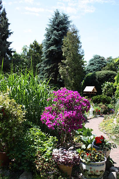 istock Flowering Garden in summer 514624870