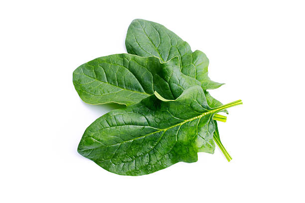 fresh spinach A bunch of fresh spinach, isolated on white spinach photos stock pictures, royalty-free photos & images
