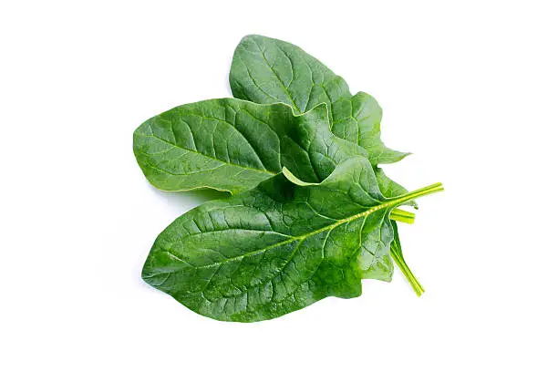 A bunch of fresh spinach, isolated on white