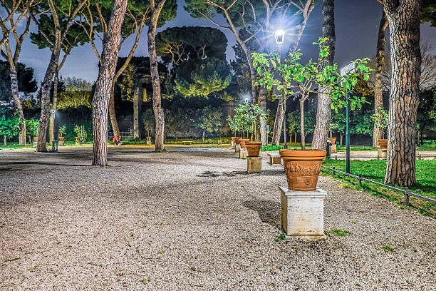 istock Orange Garden in the Night 514627796