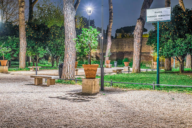 istock Orange Garden in the Night 514628082