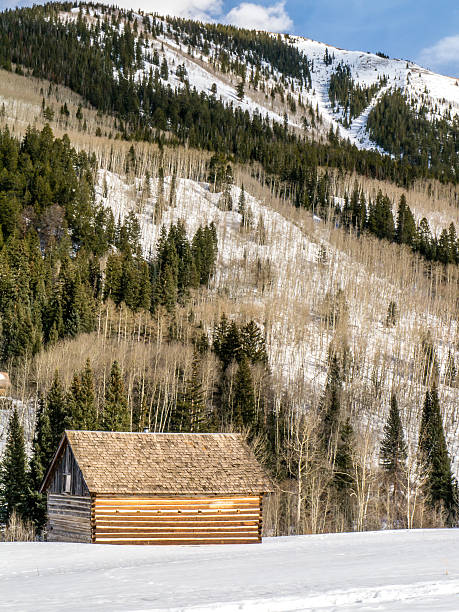 istock Old Log Cabin in Winter at in Front of Mountain 514629560