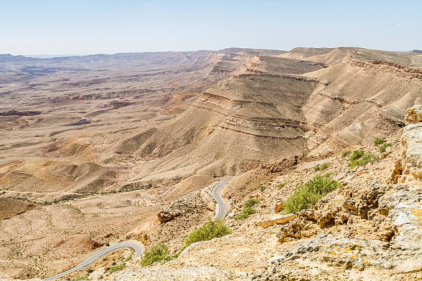 istock Negev desert in the early spring, Israel 514629992