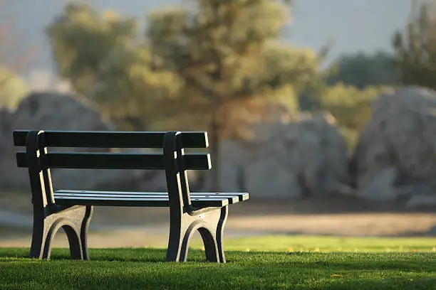 Photo of Empty bench at the park.